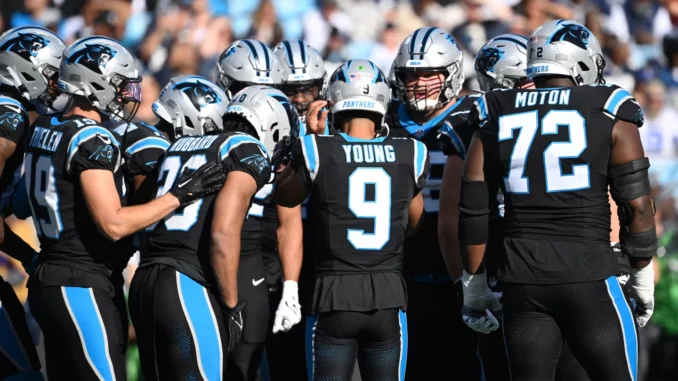 panthers team